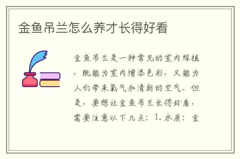 金鱼吊兰怎么养才长得好看